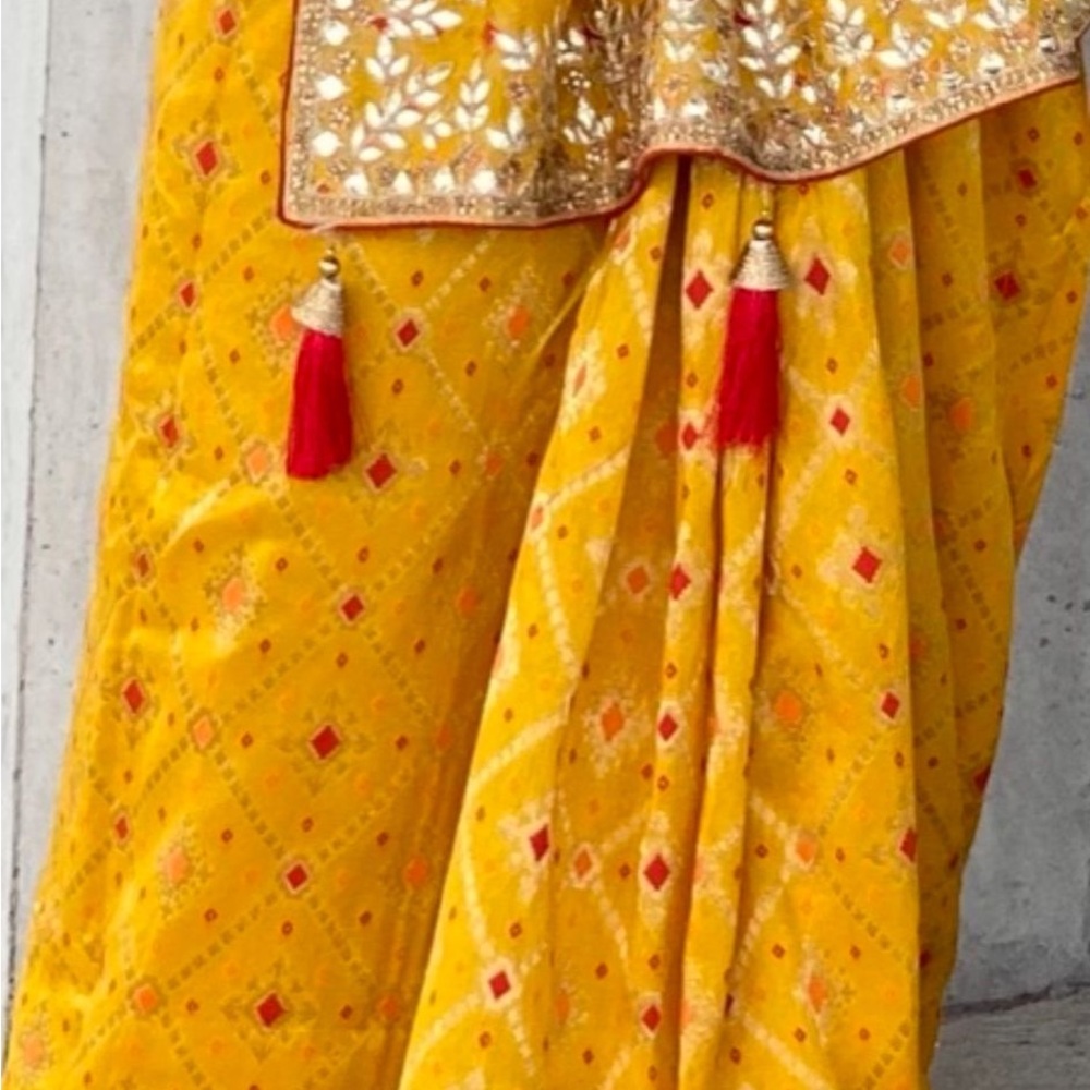 Saree - Picture 2 of 3